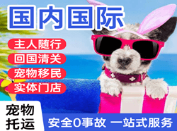 包头航空邮寄国际宠物托运 【国